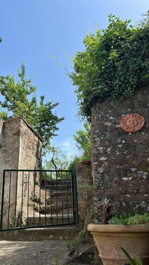 Casina Orione Apartment Montecatini Val di Cecina Exterior foto